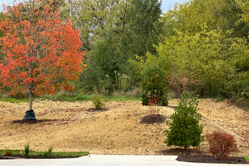 Rough grading landscaping